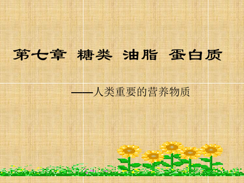 葡萄糖-PPT课件
