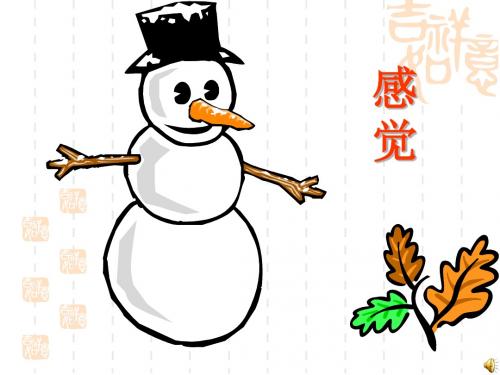 《感觉知觉》PPT课件