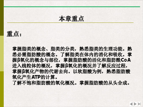 生物化学脂类的代谢ppt优质版