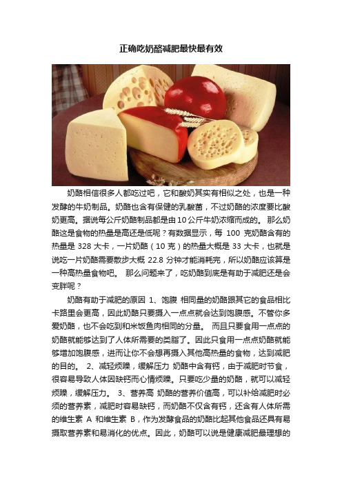 正确吃奶酪减肥最快最有效