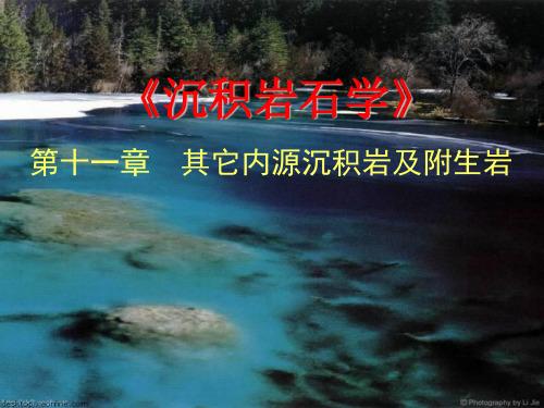 11其它内源沉积岩及附生岩(精)
