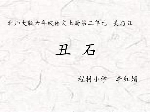 《丑石》课件