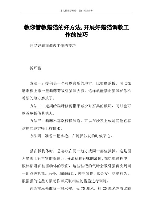 教你管教猫猫的好方法,开展好猫猫调教工作的技巧