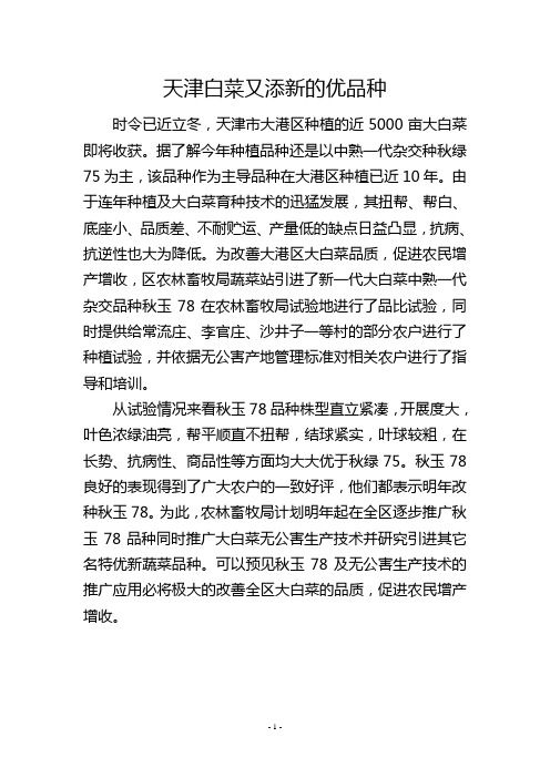 天津白菜又添新的优品种