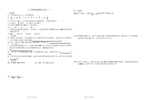 七下数学清明作业(方程综合)