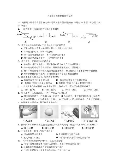 八年级下学期物理期中试卷