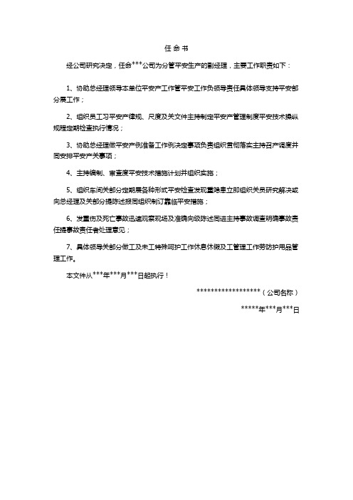 分管安全副总任命书