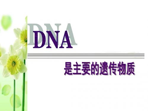 高三一轮复习 DNA是主要的遗传物质(2016届高三生物一轮复习)