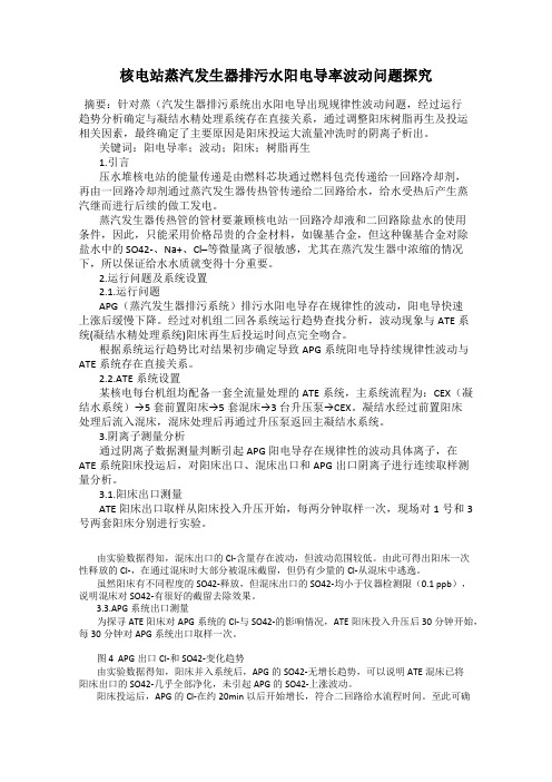 核电站蒸汽发生器排污水阳电导率波动问题探究