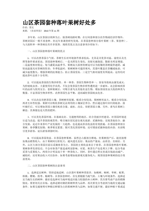 山区茶园套种落叶果树好处多