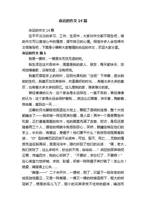 命运的作文14篇