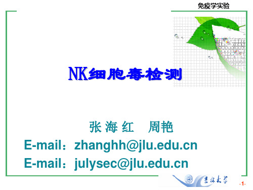 NK细胞毒活性