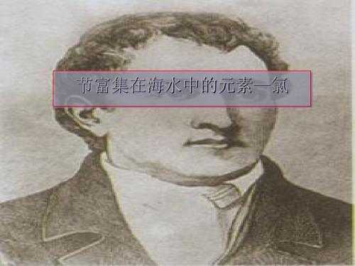 富集在海水的元素——氯(课件PPT)