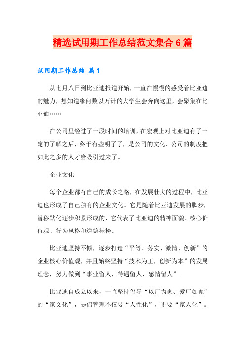 精选试用期工作总结范文集合6篇