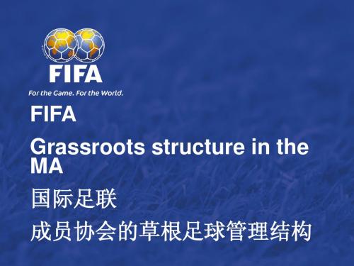 国际足联草根足球 成员协会的草根足球管理结构
