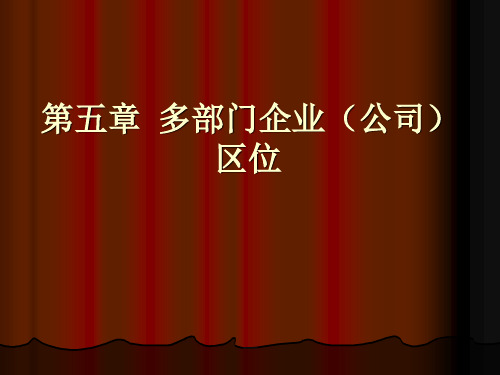 第十一讲  多部门企业(公司)
