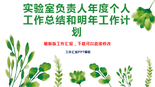 实验室负责人年度个人工作总结和明年工作计划PPT模板下载