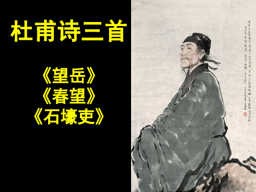 25 杜甫诗三首