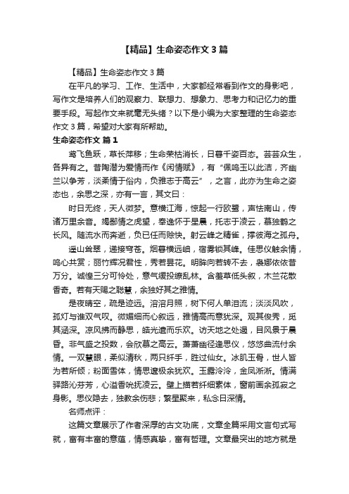 【精品】生命姿态作文3篇