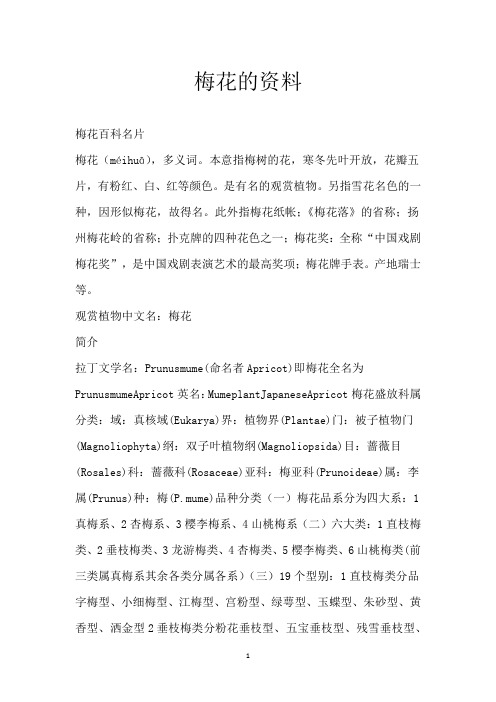 梅花的资料