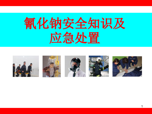 氰化钠安全知识及应急处置PPT课件