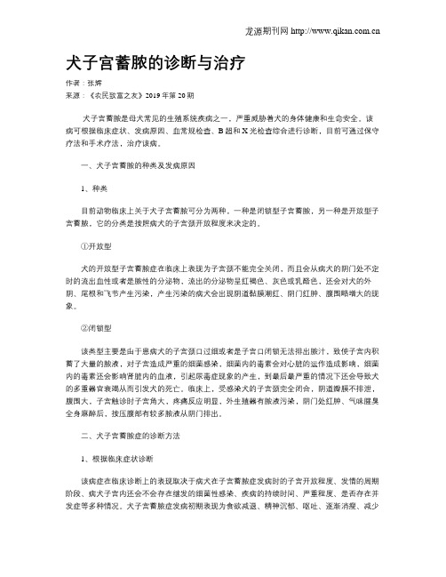 犬子宫蓄脓的诊断与治疗