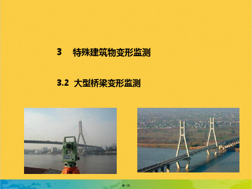 大型桥梁变形监测完整PPT