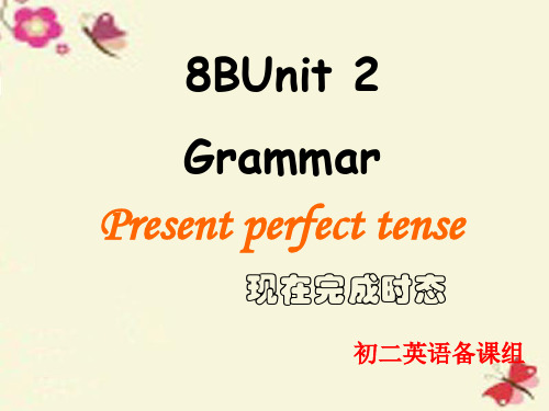 牛津译林版英语八下Unit 2《Travelling》(Grammar)ppt课件