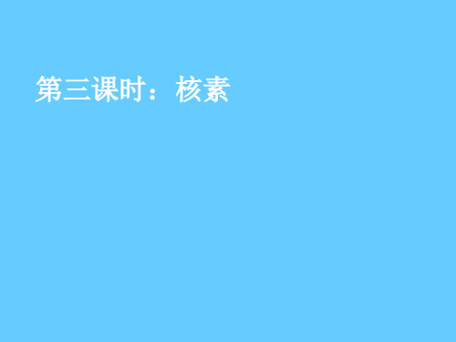 核素PPT课件 人教课标版