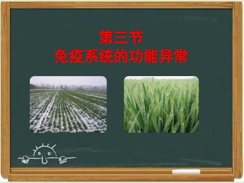 浙科版高中生物必修三《免疫系统的功能异常》课件-新版