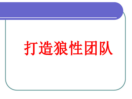 狼性团队培训