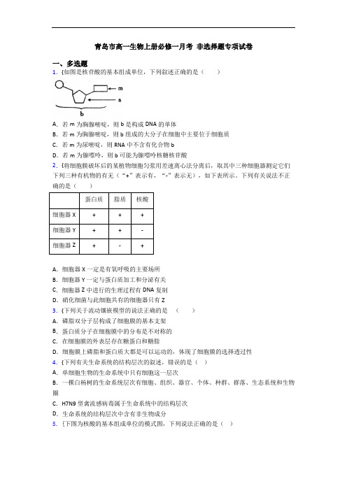 青岛市高一生物上册必修一月考 非选择题专项试卷