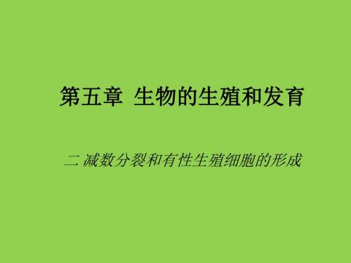 《生物生存的家园--生物圈》课件1(13页)(苏科版七年级上)