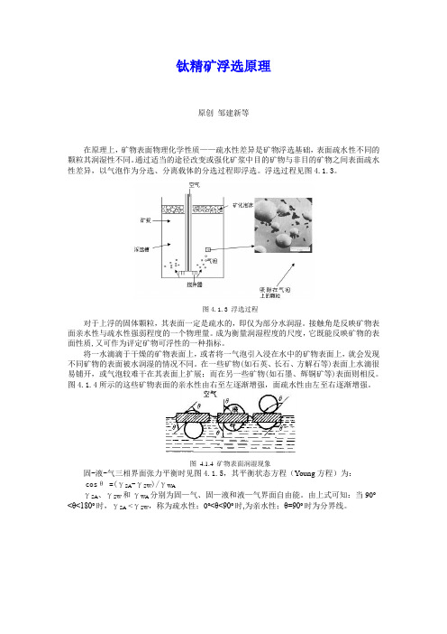 钛精矿浮选原理