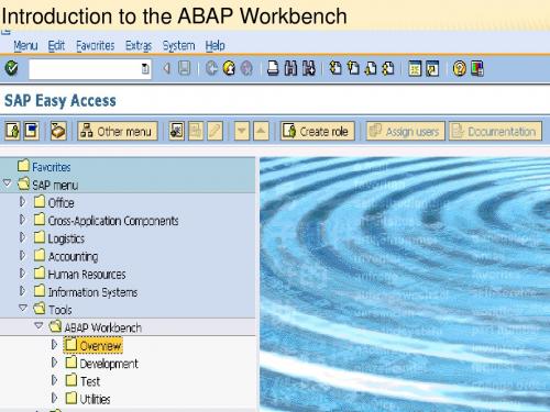 ABAP Workbench