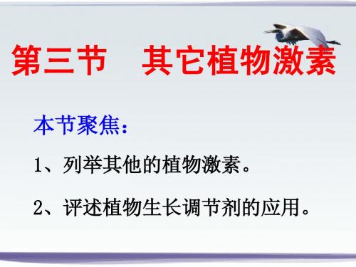 第三章第三节其他植物激素
