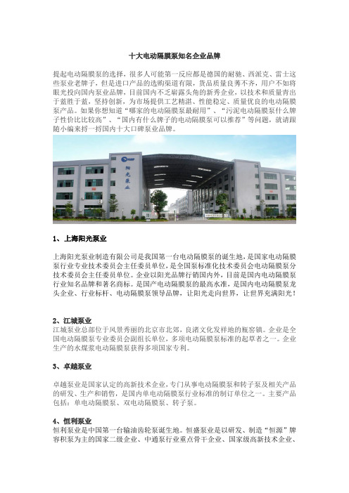 十大电动隔膜泵知名企业品牌
