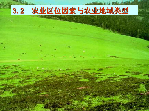 2013中图版必修2《农业区位因素与地域类型》