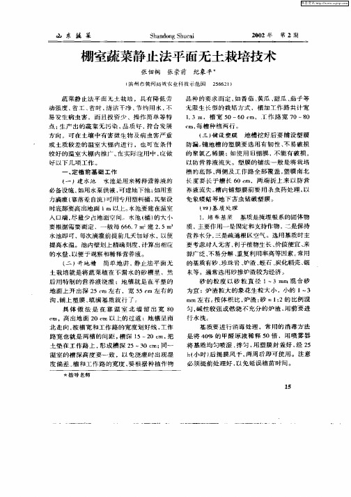 棚室蔬菜静止法平面无土栽培技术