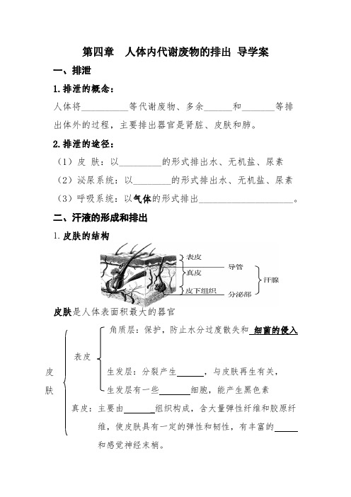 济南版生物七下第四章 人体内代谢废物的排出  导学案