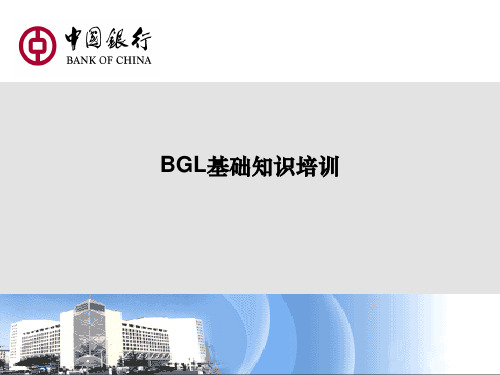 BGL培训课件