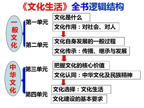 2018届高三政治一轮复习文化生活 第一课 文化与生活