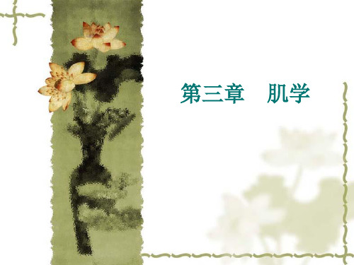 头颈躯干肌(10级)
