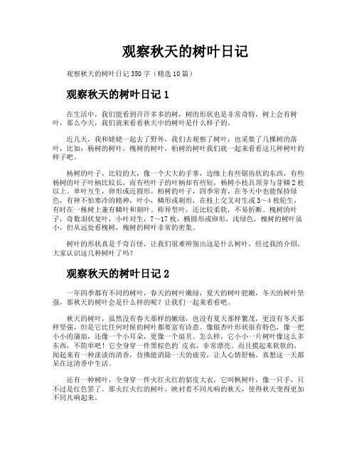 观察秋天的树叶日记