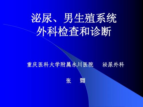 13.泌尿总论