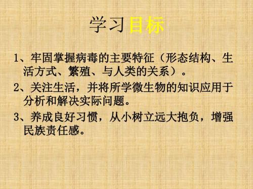 济南版生物七上第一节《病毒》ppt课件之一