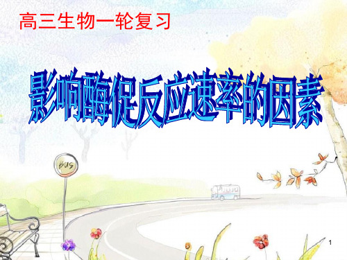 酶促反应速率的影响因素PPT教学课件