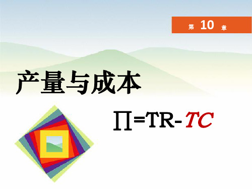 第10章 产量与成本微观经济学课件