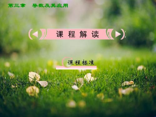 【把握高考】高三数学最新专题课件 第三章 3.1《导数的概念及运用》人教版选修