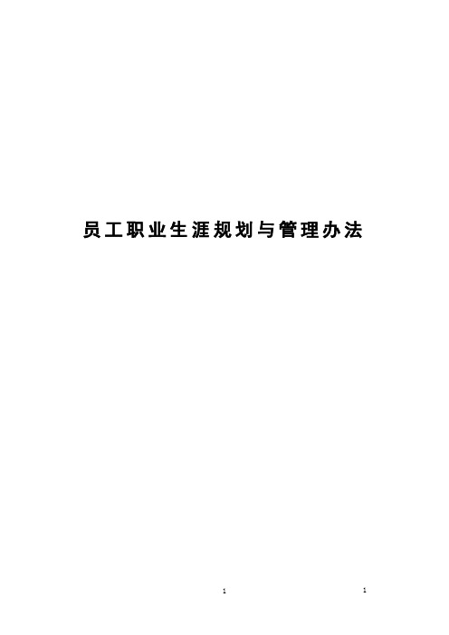 员工职业生涯规划管理办法